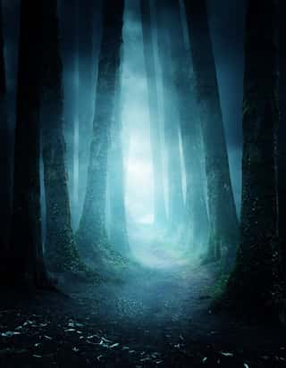 A Pathway Between Trees Leading Into A Dark And Misty Forest  Photo Composite  Wall Mural