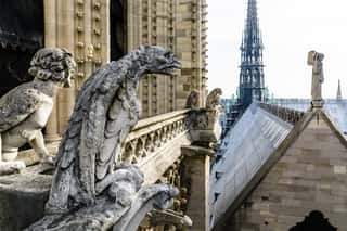 Stone Statues Of Chimeras Overlooking The Rooftop And Spire Of Notre-Dame De Paris Cathedral From The Towers Gallery  Wall Mural