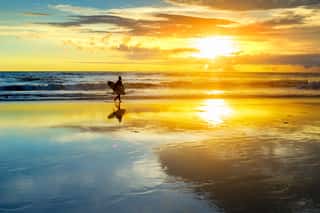 Surfer On Beach At Sunset Wall Mural