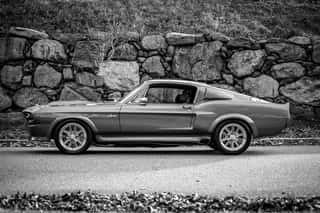 1967  Mustang Vintage Muscle Car Wall Mural