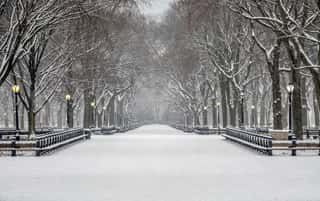 Central Park, New York City In Winter Wall Mural