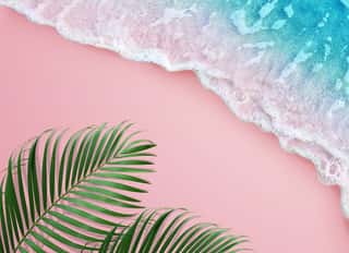 Tropical Palm Leaf And Soft Blue Wave On Pink Background Wall Mural