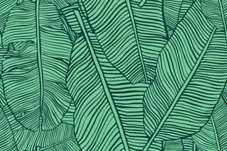 Tropical Leaves  Seamless Texture With Banana Leaf  Hand Drawn Tropic Foliage Green Background  Wall Mural