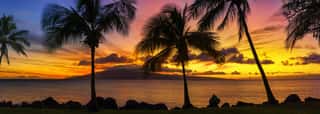 Hawaii Sunset With Palm Trees Wall Mural