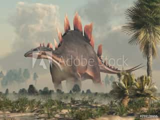 Stegosaurus, Was A Thyreophoran Dinosaur  An Herbivore, It Is One Of The Best Known Dinosaurs Of The Jurassic Period  Here, A Grey And Brown One Is Standing In A Jurassic Era Wetland  3D Rendering   Wall Mural