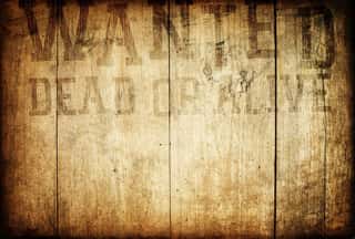 Old Western Wanted Sign On Wooden Wall  Wall Mural