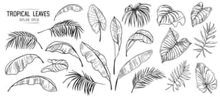 Set Of Tropical Leaves  Hand Drawn Sketches Traced In Vector Wall Mural
