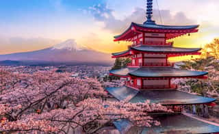 Fujiyoshida, Japan Beautiful View Of Mountain Fuji And Chureito Pagoda At Sunset, Japan In The Spring With Cherry Blossoms   Wall Mural