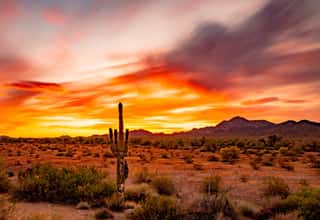 Beautiful Sunset In The Desert, Quartzsite Arizona Wall Mural