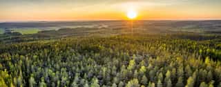 Drone Photo Of Sunrise Over Forest In North Sweden - Golden Sun Light With Beams And Shadows  Västerbotten, West Bothnia Province, North Of Sweden Wall Mural