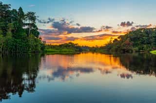 Reflection Of A Sunset By A Lagoon Inside The Amazon Rainforest Basin  The Amazon River Basin Comprises The Countries Of Brazil, Bolivia, Colombia, Ecuador, Guyana, Suriname, Peru And Venezuela   Wall Mural