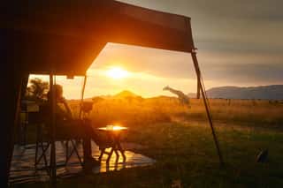 Woman Rests After Safari In Luxury Tent During Sunset Camping In African Savannah Of Serengeti National Park,Tanzania  Wall Mural