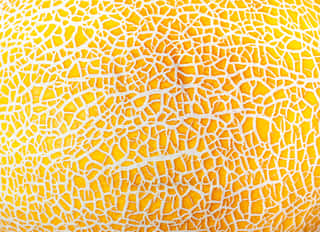 Melon Skin Yellow Texture Close Up  Abstact Background Wall Mural