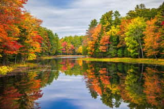 Colorful Foliage Tree Reflections In Calm Pond Water On A Beautiful Autumn Day In New England Wall Mural