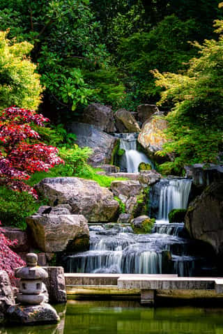 Waterfall Long Exposure Vertical View With Maple Trees In Kyoto Japanese Green Garden In Holland Park Green Summer Zen Lake Pond Water In London, UK Wall Mural