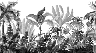 Seamless Border With Jungle Trees In Monochrome Style  Wall Mural