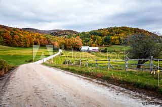 Unpaved Road To A Farm In A Rolling Rural Landscape On A Cloudy Autumn Morning  Beautiful Autumn Colours  Wall Mural
