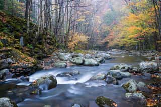 Autumn On The Middle Prong Of The Little River, Great Smoky Mountains National Park, Tennessee  Wall Mural