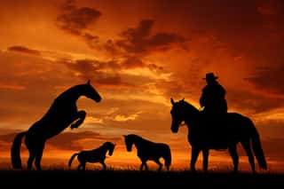 Silhouette Cowboy With Horses In The Sunset Wall Mural