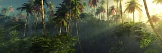 Sunrise In The Jungle, Palm Trees In The Fog In The Morning, The Rays Of The Sun In The Palm Trees, Wall Mural