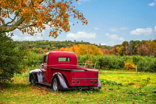 Old Antique Red Farm Truck In Apple Orchard Against Autumn Landscape Background  Blue Sky On A Sunny Fall Day In New England  Wall Mural