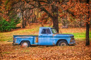 Old, Abandoned Blue Truck Surrounded By Beautiful Fall Foliage In Autumn Wall Mural