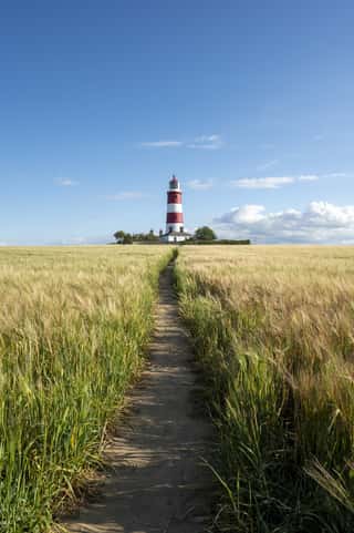 Way Leading To The Happisburgh Lighthouse Through The Scenic Field Wall Mural