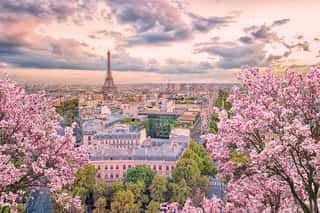 Paris City In The Springtime Wall Mural