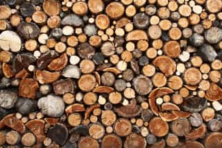 Pile Of Chopped Fire Wood Wall Mural