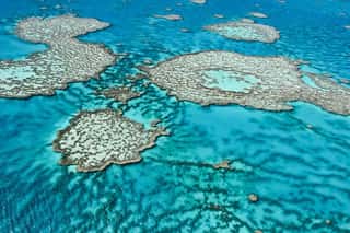 Great Barrier Reef In Queensland,Australia  Wall Mural