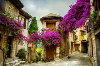Art Beautiful Old Town Of Provence Wall Mural