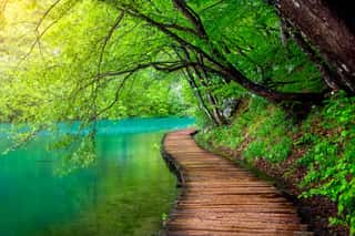Crystal Clear Water And Wooden Path   Plitvice Lakes, Croatia Wall Mural