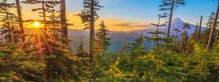 Beautiful Vista Of Mount Hood In Oregon, USA  Wall Mural