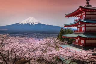 Chureito Pagoda With Sakura & Beautiful Mt Fuji View Wall Mural
