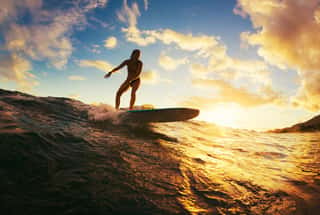 Surfing At Sunset Wall Mural