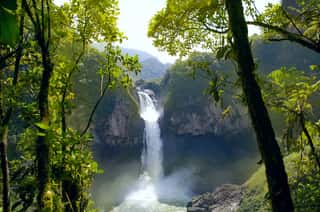 San Rafael Falls  The Largest Waterfall In Ecuador Wall Mural