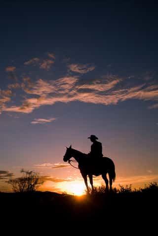 Arizona Sunset With Cowboy And Horse Wall Mural