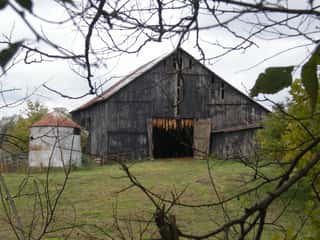 Old Barn In Distance With Branches Border Wall Mural