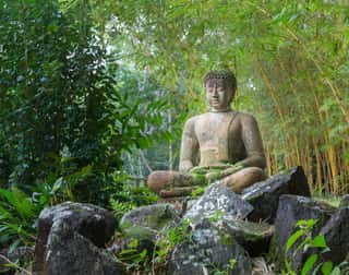 Buddha Statue In Bamboo Forest Wall Mural