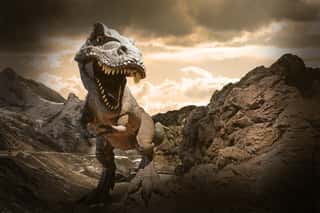 Dinosaurs Model On Rock Mountain Background Wall Mural