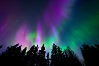 Colorful Northern Lights Wall Mural