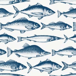 Fish Pattern Illustration Wallpaper