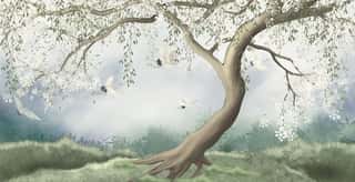 A Tree In The Fog With A Crane Flying Wall Mural