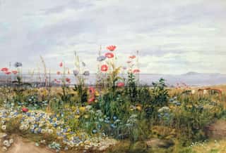 Wildflowers with a View Wall Mural