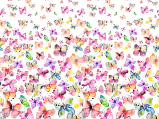 Butterflies Spring Watercolor Gradation Wall Mural