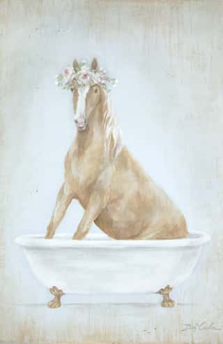 Horse in Bathtub Wall Mural