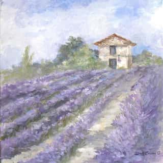Lavender Fields  Wall Mural