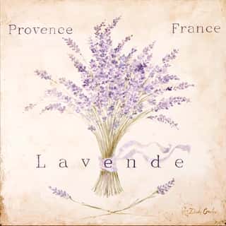 Lavender Provance Wall Mural