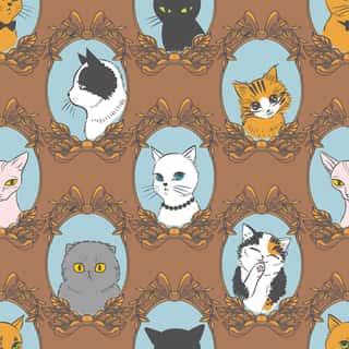 Dutchess, Kittens Wallpaper
