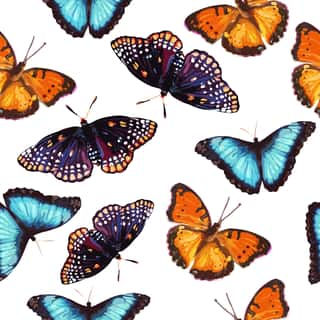 Colorful Painted Butterflies Wallpaper